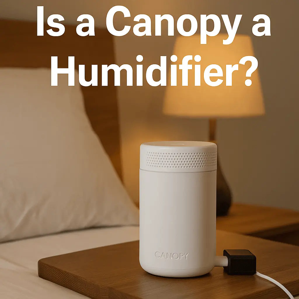 people also asked is a canopy a humidifier