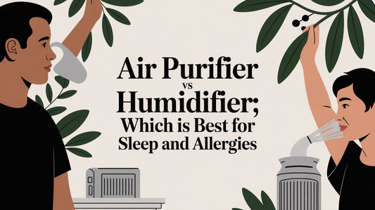 Air purifier vs humidifier: Which Is Best for Sleep and Allergies