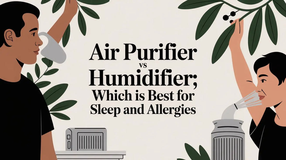 Air purifier vs humidifier: Which Is Best for Sleep and Allergies QuietAura