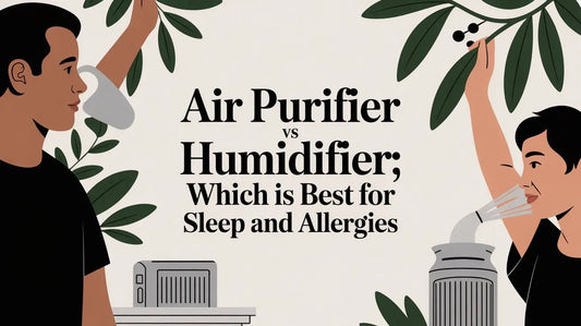 Air purifier vs humidifier: Which Is Best for Sleep and Allergies QuietAura