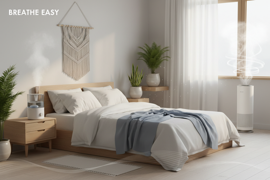 Humidifier and air purifier working together in modern bedroom for optimal winter air quality and better sleep