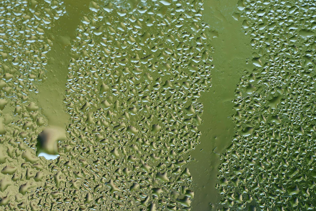 Close-up of raindrops on a green glass surface, capturing texture and wetness.