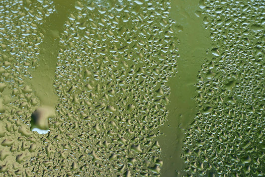 Close-up of raindrops on a green glass surface, capturing texture and wetness.