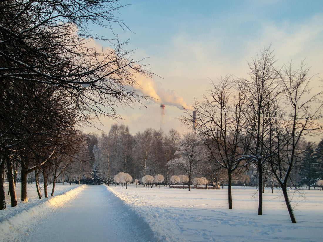 Snowy park scene with bare trees and smokestacks in the distance on a winter day.
