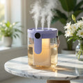 QuietAura wireless humidifier USB rechargeable design with adjustable mist output